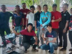 Komunitas Kicau Mania Bagansiapiapi (KMB) Gelar Lomba 3 Jenis Burung