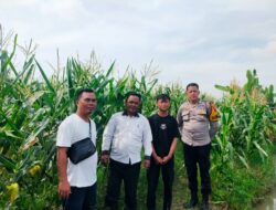 Bhabinkabmas Polsek Indrapura Melaksanakan Kegiatan Program Pemerintah Bapak Presiden Republik Indonesia