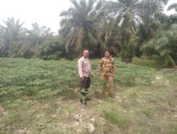 Bhabinkabmas Polsek Indrapura,Dukung Program Pemerintah Bapak presiden Republik Indonesia Terkait Pekarangan Rumah