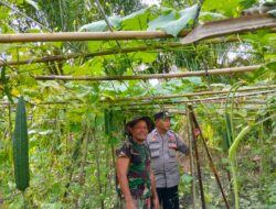 Optimalisasi Lahan Pekarangan, Langkah Polsek Medang Deras Dukung Ketahanan Pangan