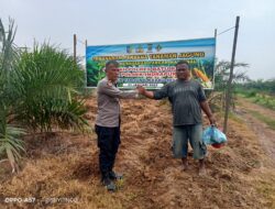 Polsek Indrapura, Melakukan Koordinasi Serta Pengecekan Lahan Ketapang