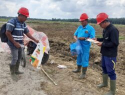 Dukung Ketahanan Pangan, Polsek Lima Puluh Pantau Lahan Jagung di Perkebunan Dolok