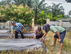 Dukung Ketahanan Pangan, Polsek Labuhan Ruku Ajak Warga Menanam Cabai Merah