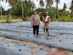 Dukung Ketahanan Pangan, Polsek Medang Deras Dampingi Petani