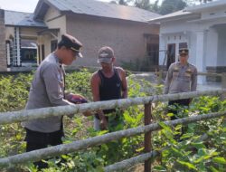 Sat Binmas Polres Batu Bara, Melaksanakan Kegiatan Program Ketahanan Pangan