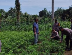 Polsek Labuhan Ruku’, Melaksanakan Kegiatan Dukungan Program Pemerintah Bapak Presiden..