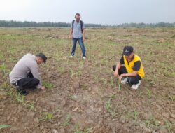 Ciptakan Ketahanan Pangan, Polres Batubara Dukung Program Pemerintah