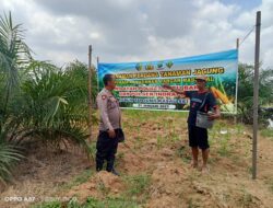 Polsek Indrapura, Melaksanakan Kegiatan Penanaman Jagung Swasembada Pangan.