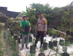 Bhabinkabmas Polsek Medang Deras, Melaksanakan Kegiatan Koordinasi Serta Pengecekan Lahan..