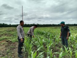 Dukung Program 100 Hari Kerja Pemerintah Presiden Republik Indonesia.