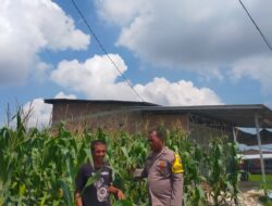 Personil Polsek Medang Deras,Giat koordinasi Serta Pengecekan Lahan Ketapang.