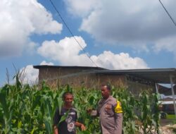 Personil Polsek Medang Deras,Giat koordinasi Serta Pengecekan Lahan Ketapang