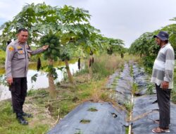 Polsek Medang Deras,Giat Melaksanakan Program 100 hari kerja Presiden Republik Indonesia.