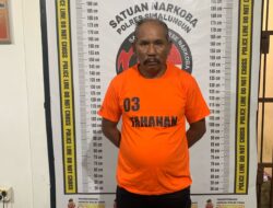 Polres Simalungun Ungkap Peredaran Ganja Di Warung Tuak Kecamatan Girsang Sipangan Bolon