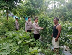 Sat Binmas Polres Batu Bara, Giat Pengecekan Program Ketahanan Pangan dan Pemanfaatan Pekarangan Bergizi