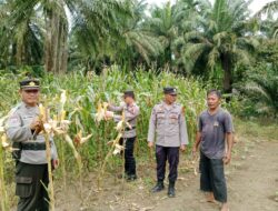 Sat Binmas Polres Batu Bara , Pengecekan Program Ketahanan Pangan Di Desa Karang Baru.