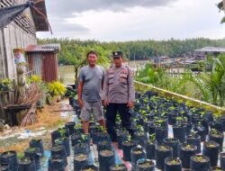 Plt, Polsek Medang Deras, Iptu Ahmad fahmi SH,Giat Program 100 Hari Kerja Tentang Ketahanan Pangan.