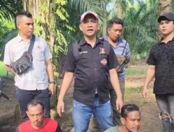 Belasan Orang Diamankan Satresnarkoba Polres Batu Bara Saat Gerebek Kampung Narkoba