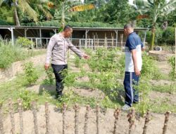 Sat Binmas Polres Batu Bara,Giat Pengecekan Program Ketahanan Pangan.