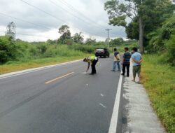 Sat Lantas Polres Simalungun Olah TKP Pengendara Motor Alami Kecelakaan Akibat Manuver Mendahului, di Jalan Siantar-Parapat