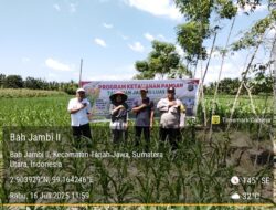 Polri Simalungun Wujudkan Mimpi Petani: Program 1 Desa 1 Polisi Tanam Jagung untuk Ketahanan Pangan Menuju Indonesia Emas 2045