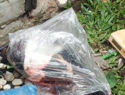 Heboh!!! Penemuan Mayat Bayi Terbungkus Plastik