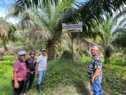 Manfaatkan Hari Libur, Kalapas Labuhan Ruku Soetopo Berutu Beserta Jajaran Tinjau Lahan Milik Lapas
