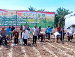 Kapolres Bengkalis Dampingi Kapolda Riau Tanam Jagung Di Duri