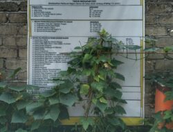 Papan Transparansi Nagori Landbouw Tertutup Tanaman Merambat, Pangulu Tak Masuk Kantor Meski Sudah Jam 10.00 WIB