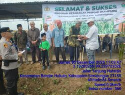 Respon Cepat dan Dekat dengan Masyarakat, Kapolsek Perdagangan Hadiri Penanaman Perdana Jagung di Lahan 72,5 H PTPN IV Bandar Betsy