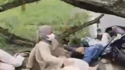 Duka di Jalan Maospati: Bocah SD Meninggal Dunia Usai Motor Keluarga Tertimpa Pohon Besar