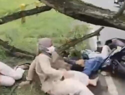 Duka di Jalan Maospati: Bocah SD Meninggal Dunia Usai Motor Keluarga Tertimpa Pohon Besar