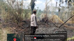 Sigap! Polsek Bangun Polres Simalungun Tangani Kebakaran Lahan 4 Hektare, Kapolres Himbau Warga Waspadai Karhutla di Musim Panas