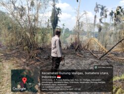 Sigap! Polsek Bangun Polres Simalungun Tangani Kebakaran Lahan 4 Hektare, Kapolres Himbau Warga Waspadai Karhutla di Musim Panas