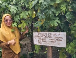 Siswa SDN 7 Batsol Duri Tanam Clitoria Ternatea Untuk Penghijauan Sekolah