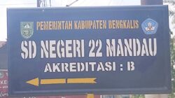 Minyak Bumi Duri Penopang APBN Kondisi Siswa SDN 22 Mandau Memprihatinkan