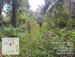 Babinsa Kampung Libo Jaya Berpatroli Karhutla Bersama Warga Tempatan