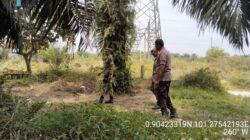 Babinsa Kandis Melakukan Giat Rutin yaitu Patroli Karhutla