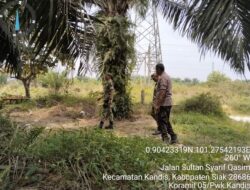 Babinsa Kandis Melakukan Giat Rutin yaitu Patroli Karhutla