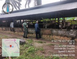 Babinsa Koptu I Ketut Budiasa, Lakukan Pendampingan Vaksinasi PMK di Wilayah Kampung Kandis