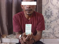 Motif Untuk Kekuatan Diduga Pelaku Asusila Anak Sembunyi Plafon Rumah Diringkus Polsek Rupat