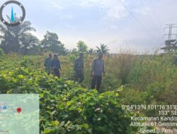 Babinsa Kandis Berpatroli Karhutla di Wilayah Kampung Pencing Bekulo