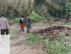 Babinsa Kandis Kota, Patroli Karhutla Dengan Warga Tempatan