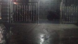 Diduga Jadi Sarang Narkoba dan Maksiat, Karaoke Family Panipahan Nekat Beroperasi Hingga Subuh, Aparat Bungkam