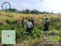 Babinsa Kandis Kembali Berpatroli Karhutla Kali ini di Wilayah Kampung Kandis