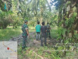 Babinsa Koramil 05/Pwk Kandis, Berpatroli Karhutla Dengan Warga Tempatan di Wilayah Kelurahan Telaga Sam Sam