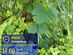 DIDUGA TIDAK SESUAI SOP, KINERJA MANAJER PTPN lV Balimbingan DIPERTANYAKAN