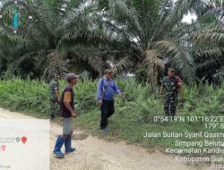 ‎Babinsa Kampung Belutu Gelar Giat Patroli Karhutla Dengan Warga Tempatan