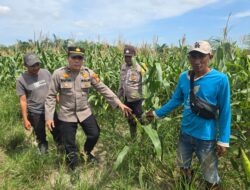 Polisi cinta petani polsek bangko