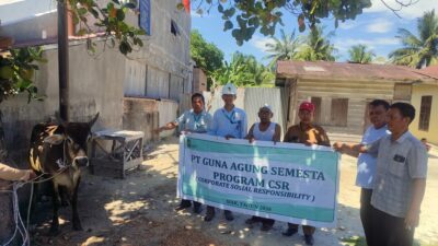 CSR, PT. GAS Berikan 2 Ekor Sapi Kurban, Untuk Perayaan Idul Adha 1447 H, 1 Ekor ke Mesjid Nurul Iman dan 1 Ekor ke Mesjid Darul Muttaqin